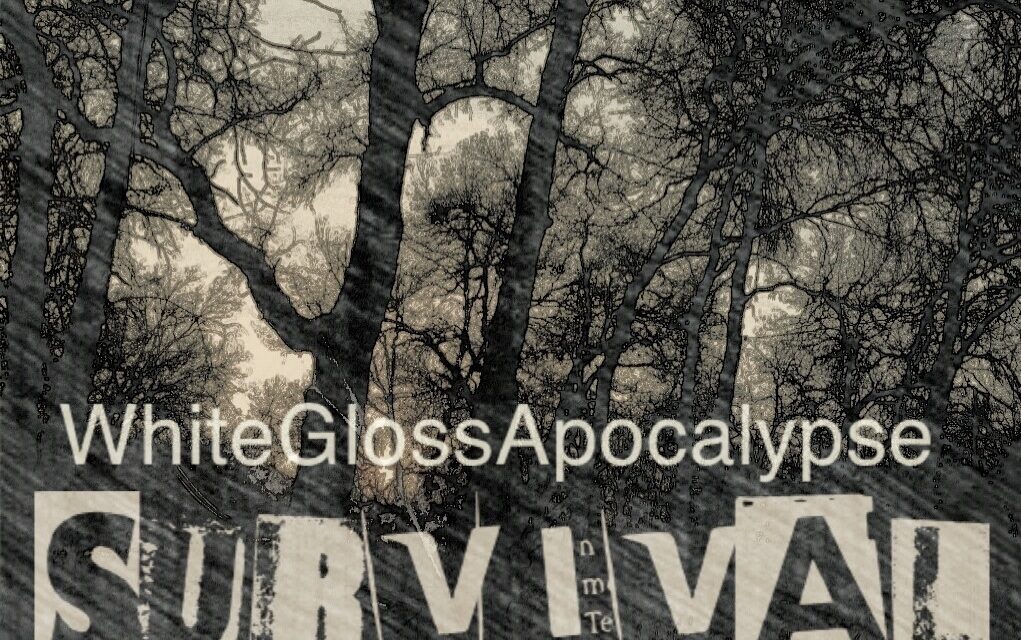 Zombie Apocalypse Survival (2012): The Clothes
